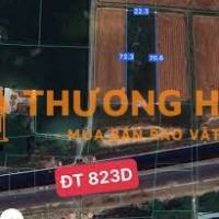 Bán đất 1 sẹc 823D, giáp ranh HCM , DT lớn, view thoáng, 1647m2