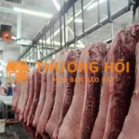 Tuyển công nhân khuân vác bốc xếp