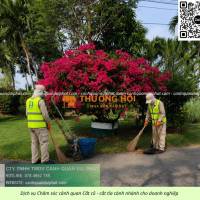 CẮT CỎ, CƯA CÂY, VỆ SINH CẢNH QUAN ĐỊNH KỲ NHƠN TRẠCH, ĐỒNG NAI