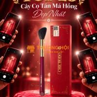 Top 10 Cây Cọ Má Hồng Tán Đẹp Phù Hợp Nhiều Dáng Mặt