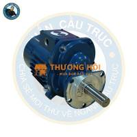 Động cơ di chuyển cầu trục 0.75kW x 4P