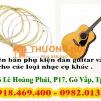 Địa điểm thay dây đàn guitar tại gò vấp, Nhạc Cụ Nụ Hồng