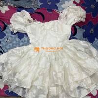 pass đầm công chúa xoè hoạ tiết hoa trên vải