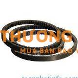 Toàn Phát – Địa Chỉ Cung Cấp Dây Curoa Uy Tín, Chất Lượng Cao