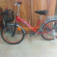 Xe trẻ em 20 in tuổi 6 đến 11
