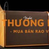 Loa chuyên dụng cho guitar casi