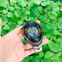 đồng hồ nam Casio protrek nhiệt độ áp suất la bàn