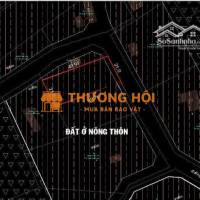 Bán đất đẹp 1038.4m² (600m² Thổ Cư) Ngay Trung Tâm Xã An Phú