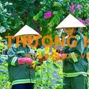 TUYỂN DỤNG NHÂN VIÊN CHĂM SÓC CÂY XANH