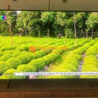 Bán smart tivi sam sung 50 inch