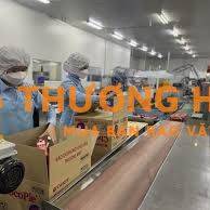 tuyên nhân viên đóng gói chính thức