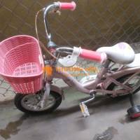 Xe đạp trẻ e từ 3-5 tuổi