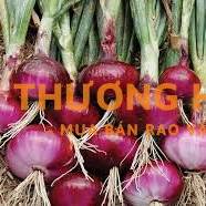 Cần 1 nam có bằng lái xe ô tô làm nông nghiệp tại Đài Loan