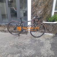 XE ĐUA NHẬT FULL CARBON, SHIMANO ULTERGA /2023