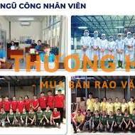 Tuyển Kế toán Tổng hợp, Kế toán Thanh toán, Thu Ngân
