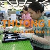 50 CÔNG NHÂN LÀM NHÀ MÁY SAMSUNG