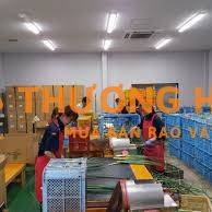 XKLD Nhật Bản đơn hàng đóng gói hành lá