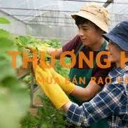 Cần 1 nữ đơn hàng nông nghiệp làm việc tại Đài Loan