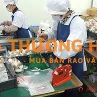 XKLD Nhật Bản đơn hàng đóng gói nấm 3 tháng xuất cảnh