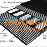 Nâng Cao Hiệu Quả Vận Hành Với Băng Tải Lõi Thép Toàn Phát