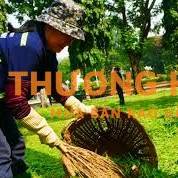 TUYỂN NHÂN VIÊN CHĂM SÓC CÂY XANH- TP HCM