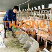 TUYỂN DỤNG CÔNG NHÂN CHĂN NUÔI (BAO ĂN, Ở)
