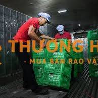 Tuyển dụng nhân viên kho