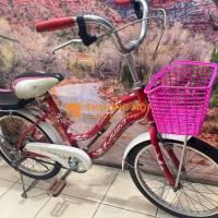 Xe mini Hitasa chính hãng,,20 inch