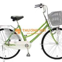 Xe đạp mini Matin 107
