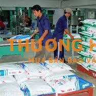 Tuyển Lao Động Phổ Thông
