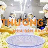 Tuyển công nhân lựa hạt điều ca ngày hoặc xoay ca