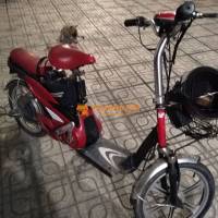 Đạp điện