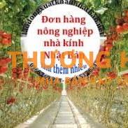 XKLD Nhật Bản đơn hàng nông nghiệp cà chua nhà kính
