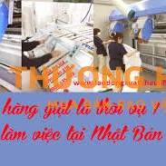 XKLD Nhật Bản đơn hàng giặt là cần 3 nam