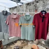 4 áo polo 60-65 ký vừa