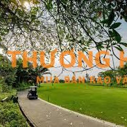 Nam nhân viên cây xanh 7 - 8 triệu bao ăn trưa + ở
