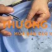 TUYỂN NHÂN VIÊN NHẶT LÔNG YẾN TẠI Q8
