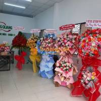 Kỹ Thuật Máy Tính Máy Photo Camera Quận 10