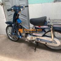 Xe cub nhà dư
