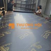 Ván Ép Phủ Phim tại Vĩnh PHúc 200k