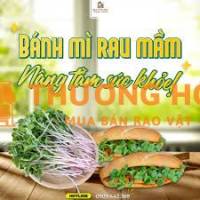 Tuyển tạp vụ đi làm liền tại Gò Vấp