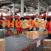 Cần NV Phân hàng tại kho KCN Hòa khánh, Nam/Nữ