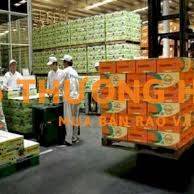 NHÂN VIÊN BỐC XẾP GIAO HÀNG VISSAN BÌNH THẠNH