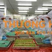 CÔNG NHÂN CHẾ BIẾN THỦY SẢN ĐÔNG LẠNH (5,5TR -9TR)