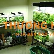 Tuyển Đồng Đội làm việc lâu dài