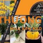 cần nam Phụ việc 8-9tr không cần kinh nghiệm