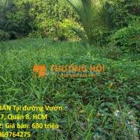 NHANH TAY SỞ HỮU NGAY LÔ ĐẤT CHÍNH CHỦ Vị Trí Tại Xã Nhuận Đức ,Huyện Củ Chi, TP HCM