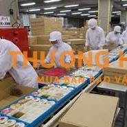 XKLD Nhật Bản đơn hàng đóng gói bánh kẹo