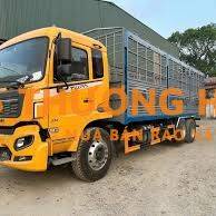 Cần tuyển tài xế chạy xe 3 chân chạy miền tây