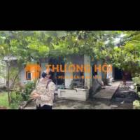 NHÀ VƯỜN – GIÁ TỐT – CHÍNH CHỦ CẦN BÁN TẠI Đường Trần Văn Mười, Xã Xuân Thới Đông, Hóc Môn